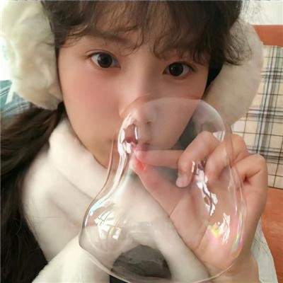 兔子大冒险